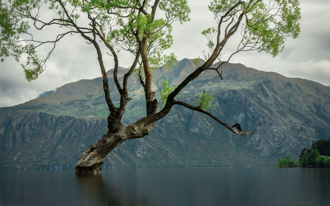 Growing Intimacy With God